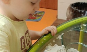 Jeżyki: Kwiecień 2025 - Zdjęcie 19